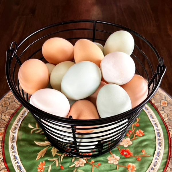 Ultra Nutritious Farm Fresh Eggs.